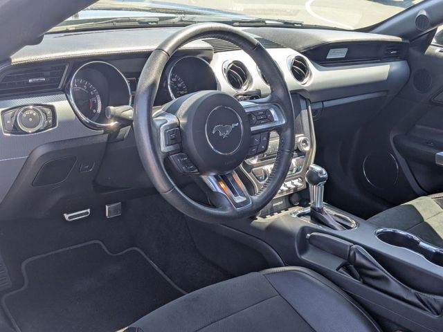 Mustang
