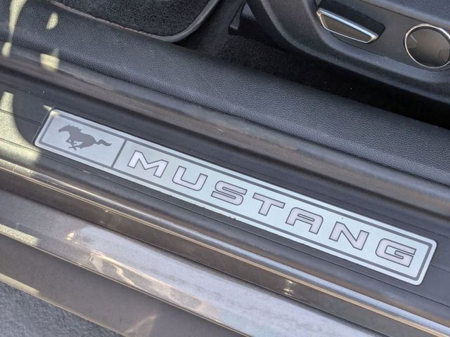 Mustang