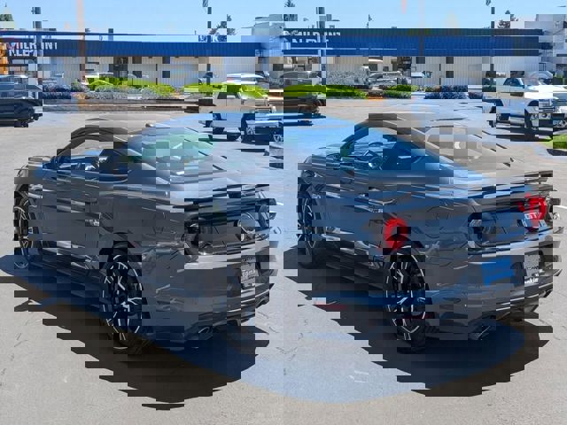 Mustang