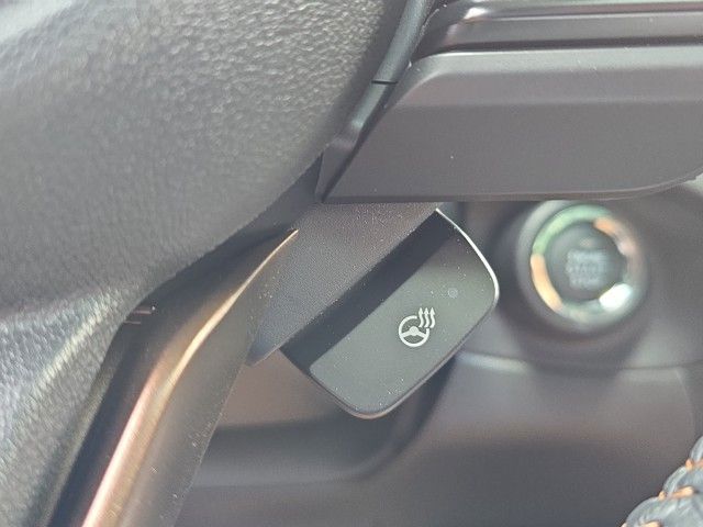 Ascent Bronze Edition 7 Passenger