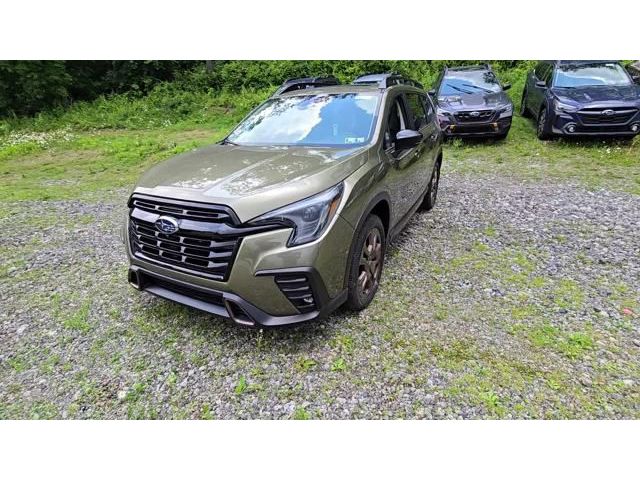 Ascent Bronze Edition 7 Passenger