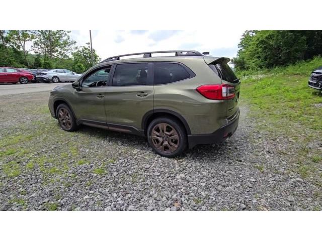 Ascent Bronze Edition 7 Passenger