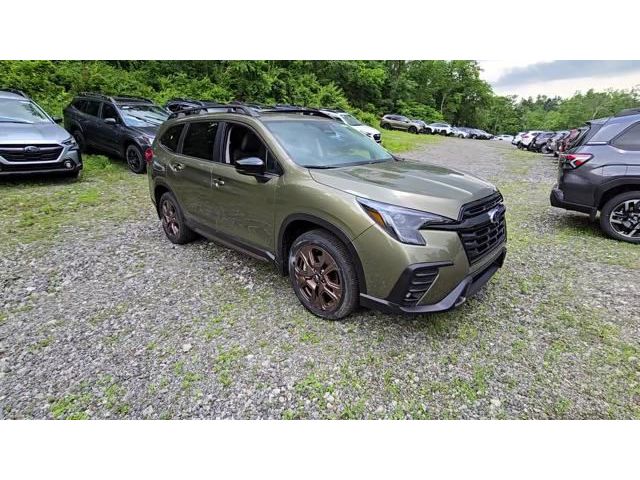 Ascent Bronze Edition 7 Passenger
