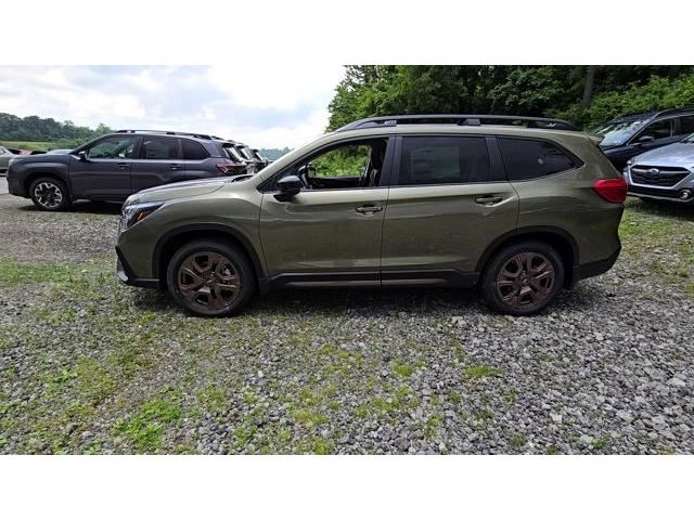 Ascent Bronze Edition 7 Passenger