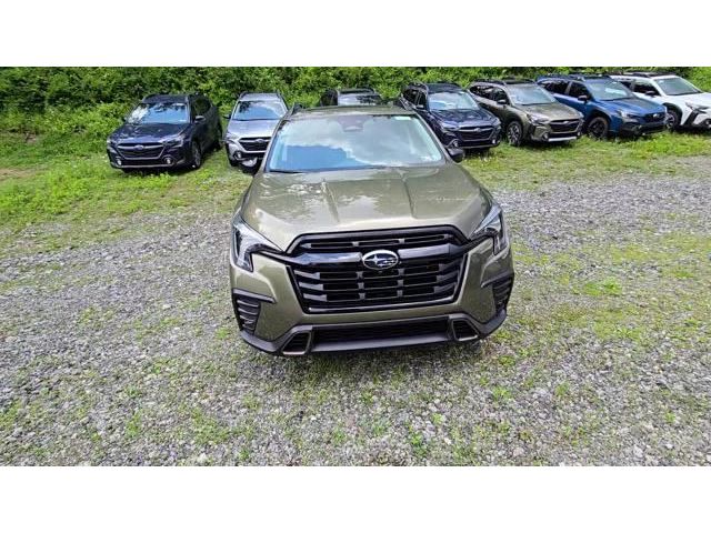 Ascent Bronze Edition 7 Passenger