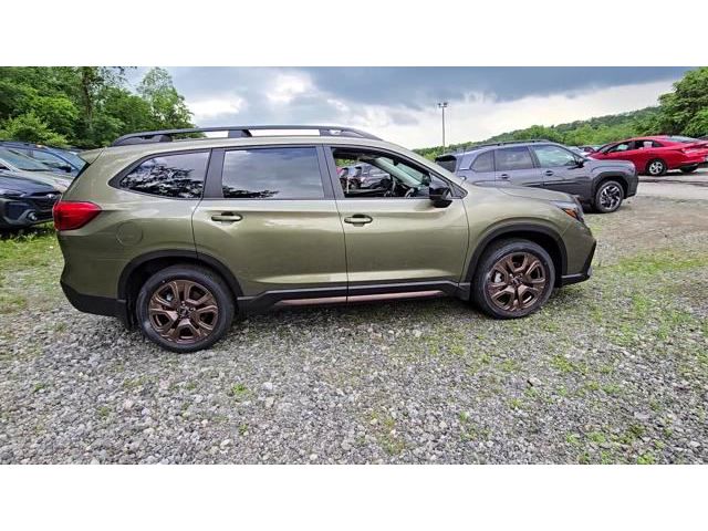 Ascent Bronze Edition 7 Passenger
