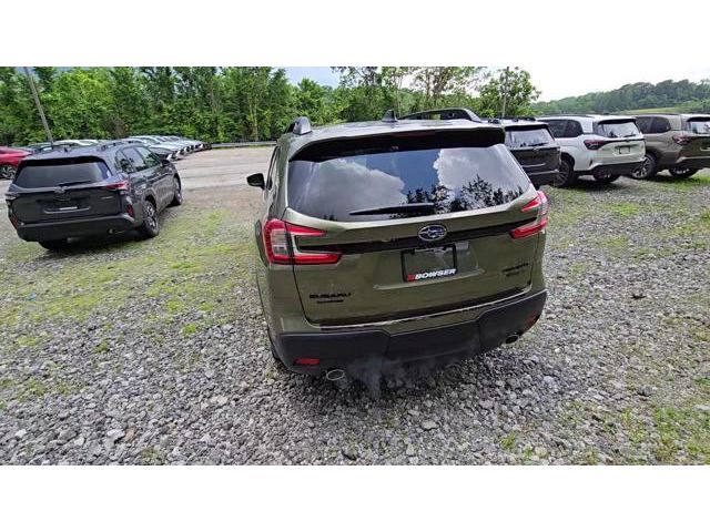 Ascent Bronze Edition 7 Passenger