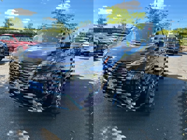 Rogue SL