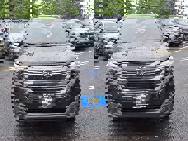 Forester Limited