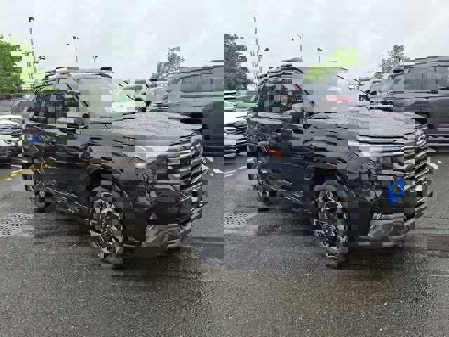 Forester Limited