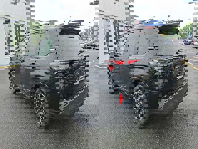 Forester Limited