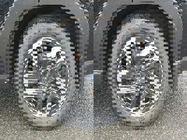 Forester Limited